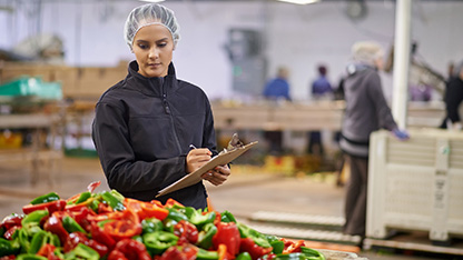 specialist working on site in food plant