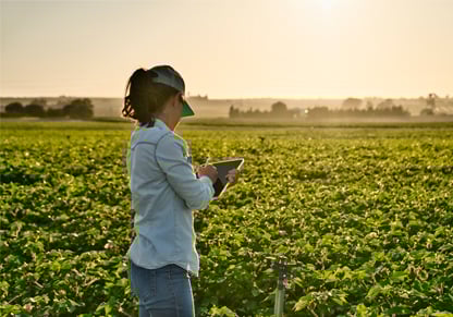 A woman with an iPad stands in front of a green field of crops. 