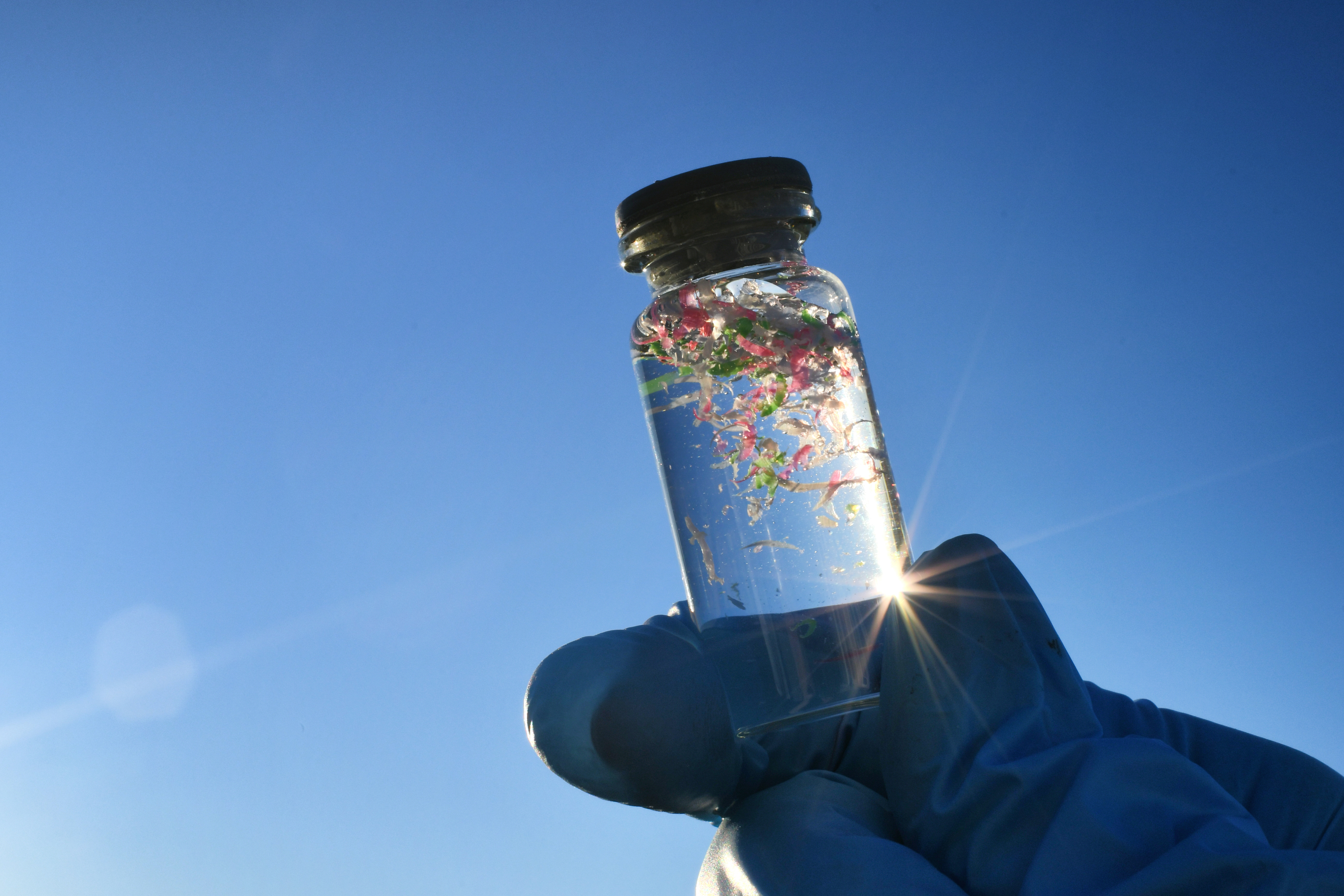 Collecting water samples contaminated with microplastics