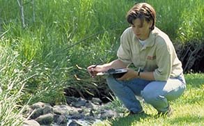 Environmental Services